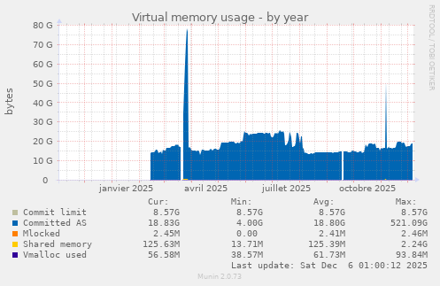 Virtual memory usage