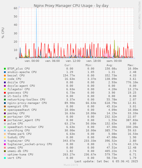 Nginx Proxy Manager CPU Usage